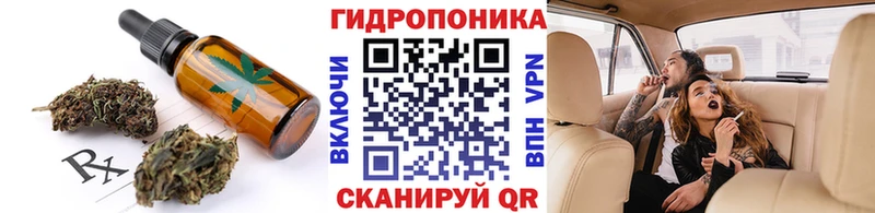Canna-Cookies марихуана  Кизел 