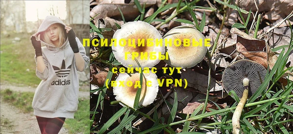 меф Алзамай